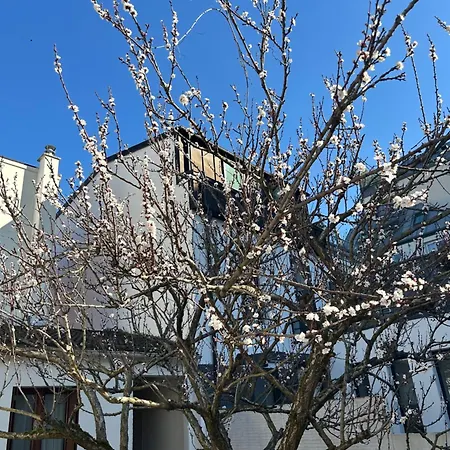 22m2 Renove Sur Cour Privee * Issy-les-Moulineaux